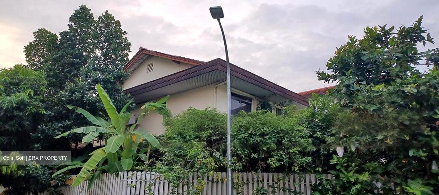 South Buona Vista Road (D5), Semi-Detached #459678201